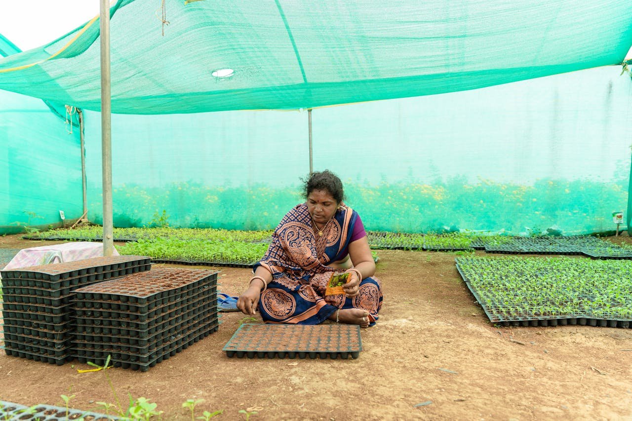 Farmers in India